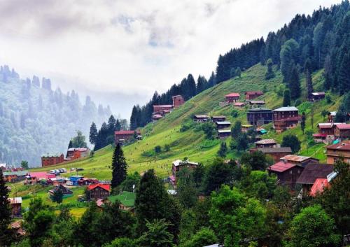 RİZE AYDER YAYLASI TRANSFERİ